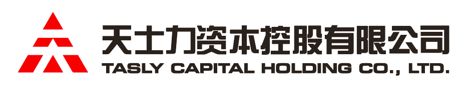 4399JS金莎资本控股有限公司